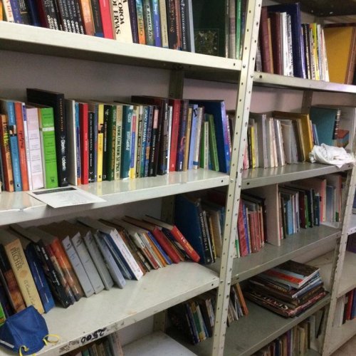 Divas Books